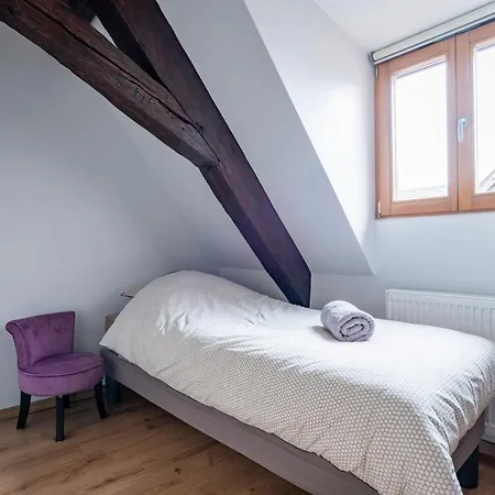 Cochylis, A L'oree Des Vignes, Classe 3 Etoiles Au Centre De La Route Des Vins D'alsace Orschwiller