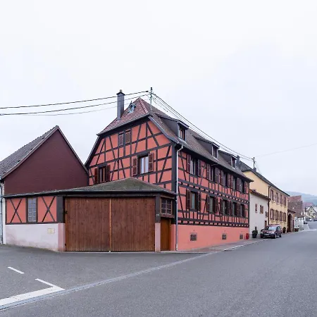 Cochylis, A L'Oree Des Vignes, Gite Climatise Au Centre De La Route Des Vins D'Alsace